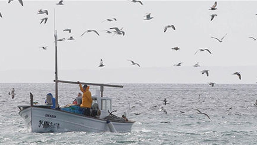 A 'llaüt' dedicated to fishing 'gerret' in Ibiza. JUAN A. RIERA