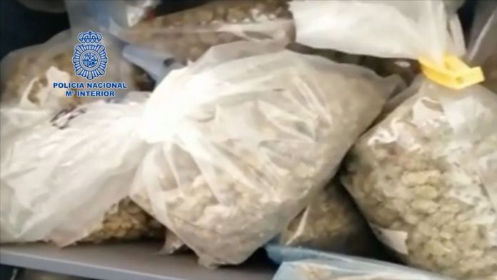 Police seize 15kg of marijuana and 11kg of hashish in Ibizan cannabis club
