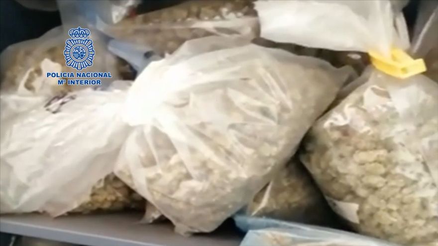 Police seize 15kg of marijuana and 11kg of hashish in Ibizan cannabis club