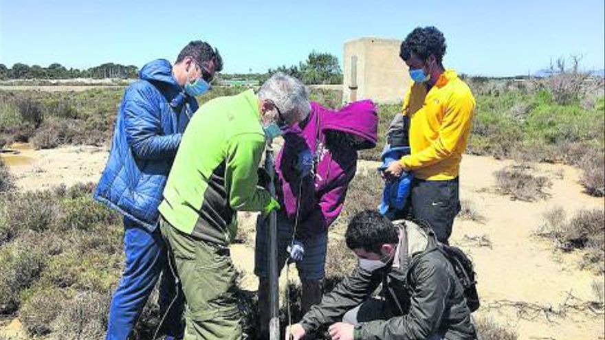 In Search Of The First Settlers Of Formentera &Ndash; Diario De Ibiza News