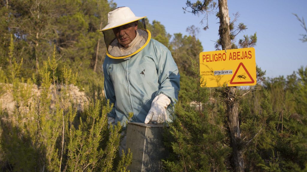 Ibizan Honey Included In The Catalogue Of Traditional Foods Of The Balearic Islands