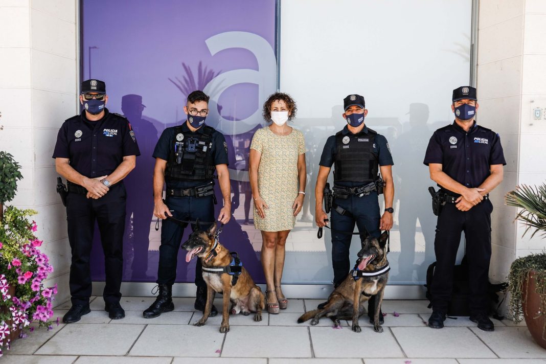 Kata and Mustang, the two new canine agents of Sant Antoni