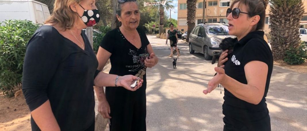 Ibiza's Don Pepe residents: 