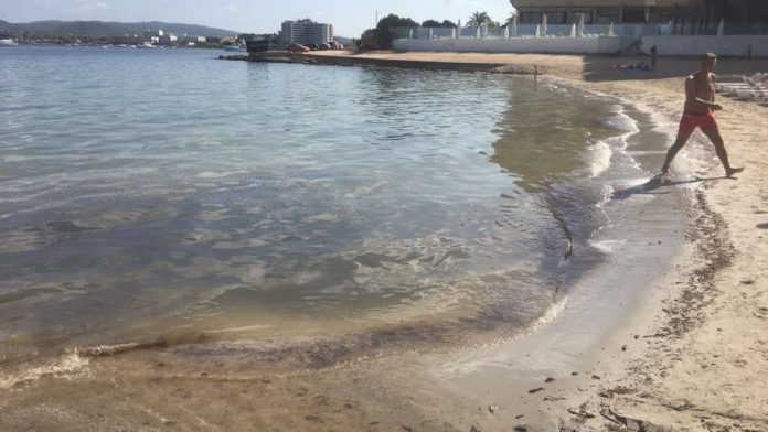 Quality of bathing water in Ibiza decreases "drastically" despite the coronavirus crisis