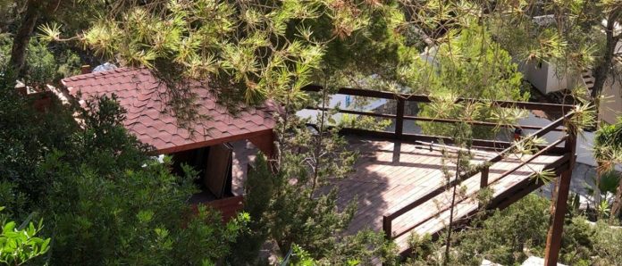 Illegal wooden houses are being built in the middle of the Ses Salines Natural Park in Ibiza