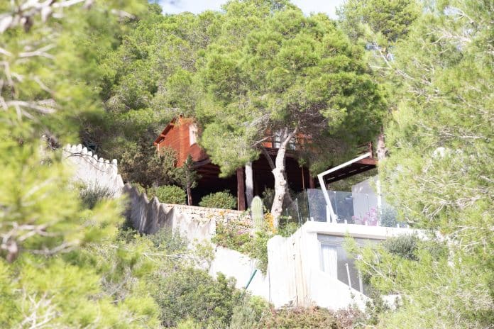 New illegal wooden huts in the middle of the Ses Salines Natural Park of Ibiza