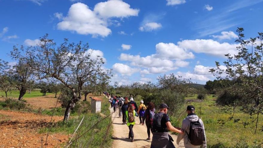 Reclaiming Ibiza's public roads