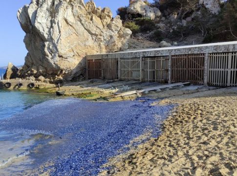 Tens of thousands of sea raft 'jellyfish' wash up on an Ibiza beach