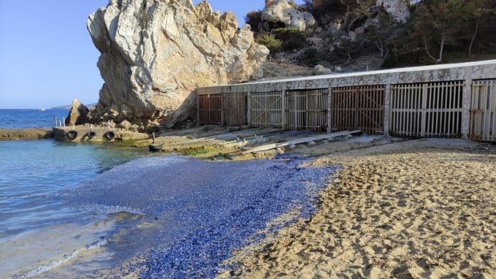 Tens of thousands of sea raft 'jellyfish' wash up on an Ibiza beach