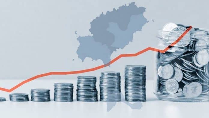 Which companies earn the most on Ibiza?