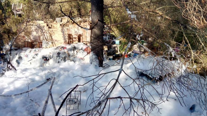 Forest fire on Ibiza extinguished