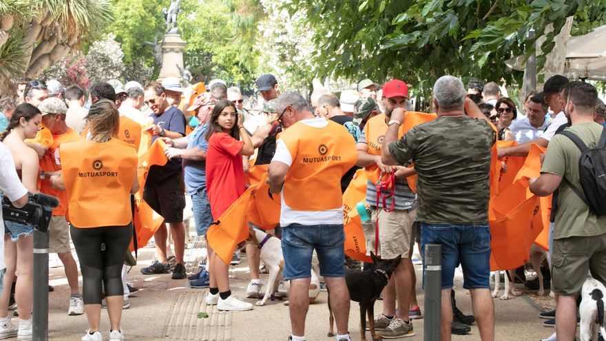 Protest against Animal Welfare Act on Ibiza: 
