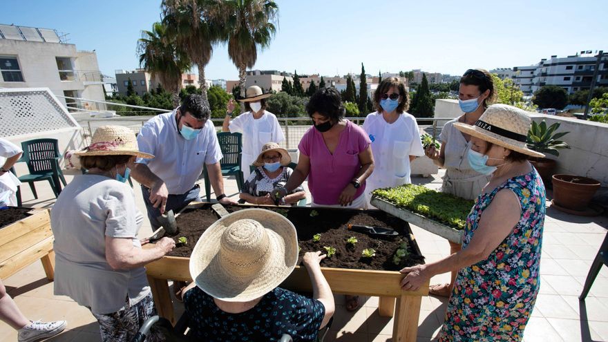 A vegetable garden to jog the elderly's memory on Ibiza
