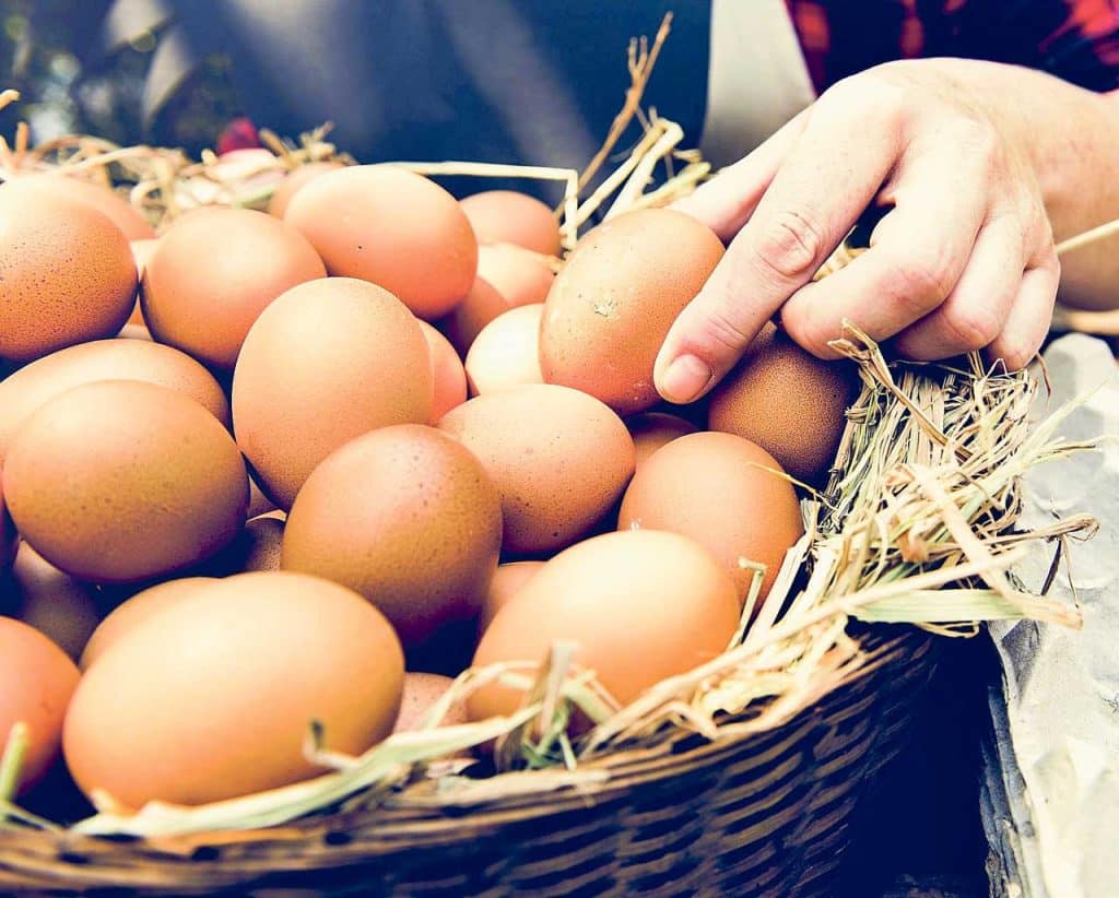 If eggs are produced for own consumption, it is important not to wash them with water, as their protective layer is removed.