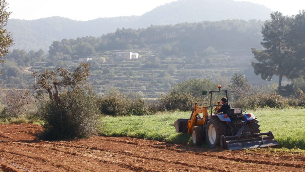 Experts discuss agriculture as a means of livelihood at Club Diario de Ibiza