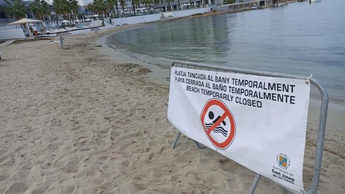 Ibizan Beach closed to bathing due to the presence of feces Ibizan Beach closed to bathing due to the presence of feces