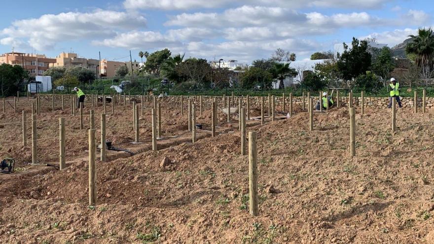 213 applications for 48 urban vegetable gardens in Can Tomeu, Ibiza