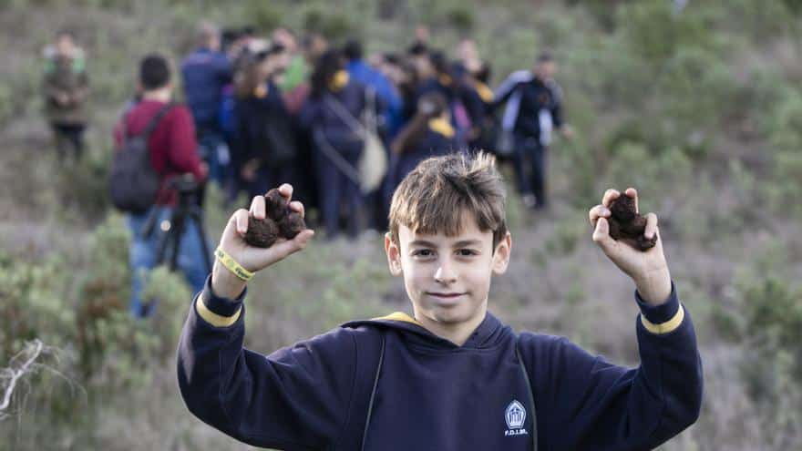 'Seed bombs' rebuilding Ibiza's forests