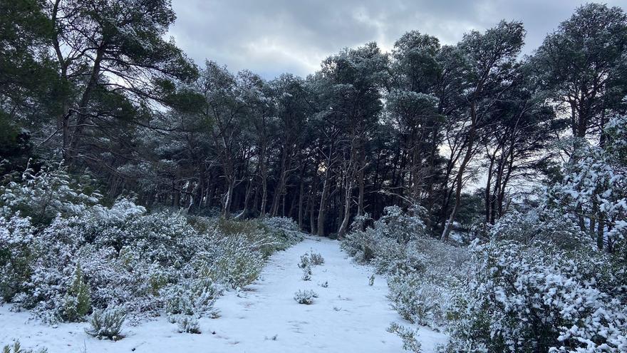 Check out the images of frost and hail on Ibiza