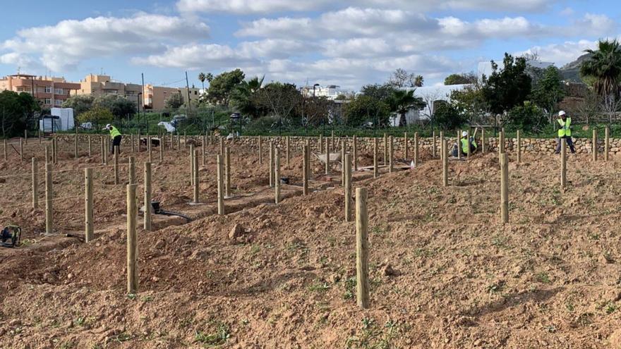 118 Ibiza residents apply for one of the 48 Can Tomeu urban gardens