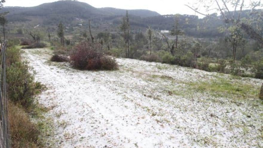 February starts with sub-zero temperatures on Ibiza