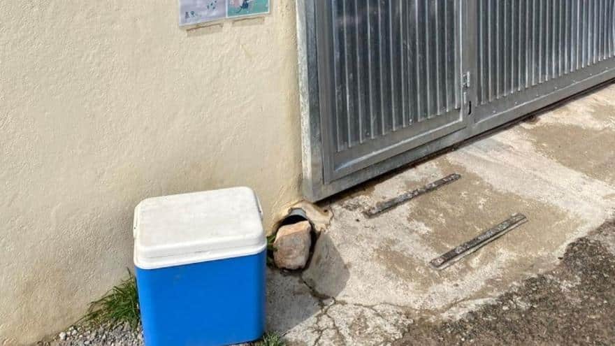 A cat is abandoned inside a fridge in an animal shelter in Ibiza