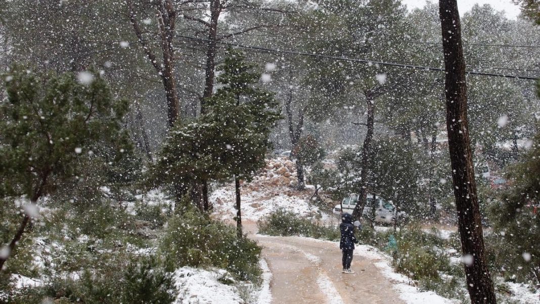 Videos of the snow in Ibiza due to the storm ‘Juliette’.