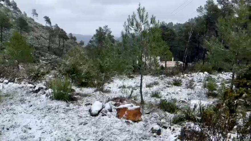 Video Of The Traffic Jams In Sant Joan, In Ibiza, Caused By The Snow Of The Squall
