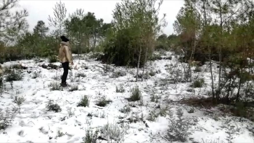 It Snows In Ibiza For The Second Time This Winter