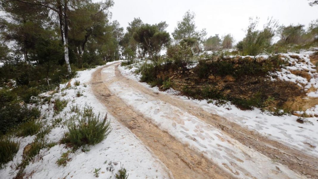 Yellow alert for freezing temperatures in Ibiza and Formentera