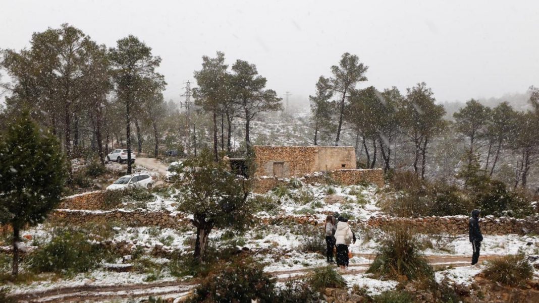 what was the coldest day of February in Ibiza?