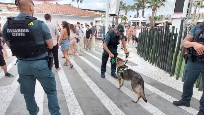 172 people denounced for drug possession during the opening weekend of Ibiza’s discotheques