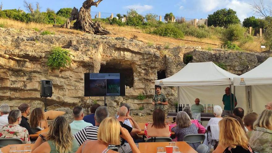 Bread, wine and oil talks and tastings return to the Archaeological Museum of Ibiza