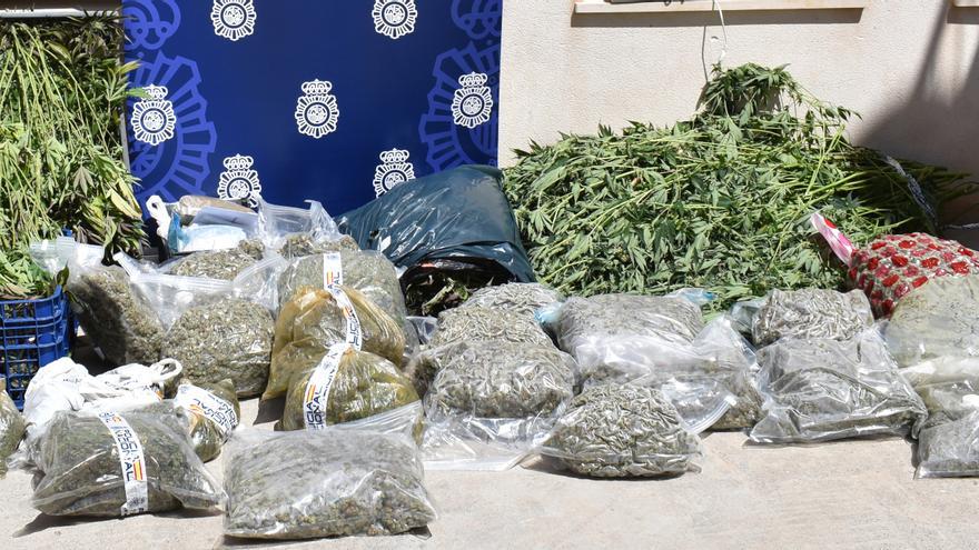 Seven arrested of a criminal gang that planted and sold drugs in Ibiza
