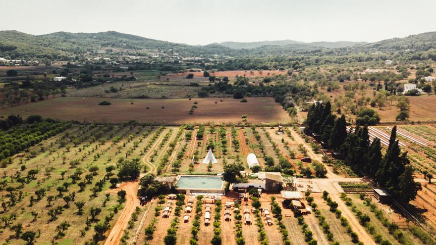 This is the estate that DJ Calvin Harris has bought in Ibiza