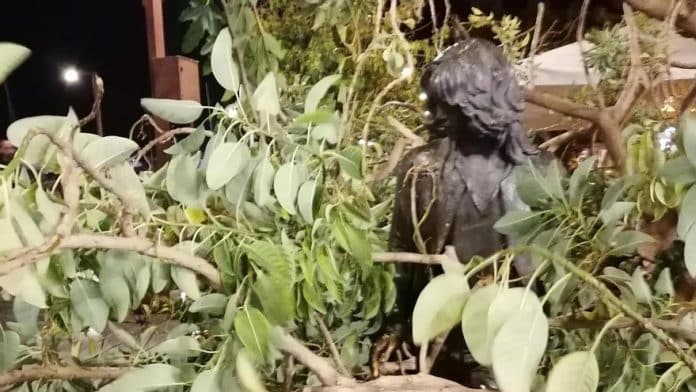 A large tree falls on the statue of the ‘hippy’ of the port of Ibiza