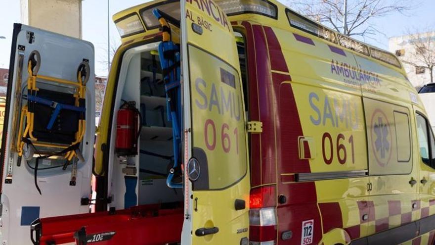 Ibizan man dies while felling a pine tree with his son in Sant Llorenç
