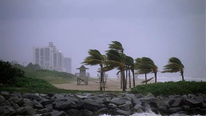 d091c0dc-4235-42bb-a326-20d4453a9d5e_16-9-aspect-ratio_default_0.jpg Farewell to the December long weekend: the AEMET alert that frustrates all plans