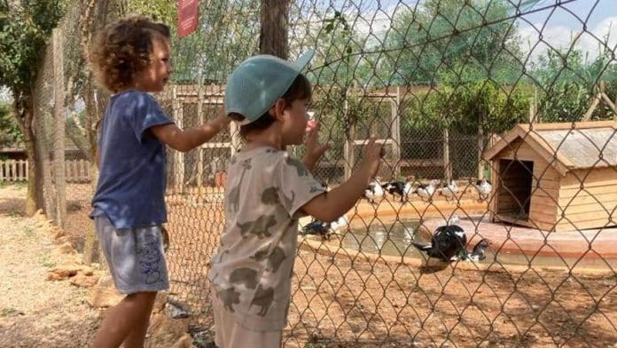 9a6333db-4b99-4fb8-92b6-91179639faef_16-9-aspect-ratio_default_1266751.jpg what to give my child that is not a toy for Christmas? Ten experiences for children in Ibiza