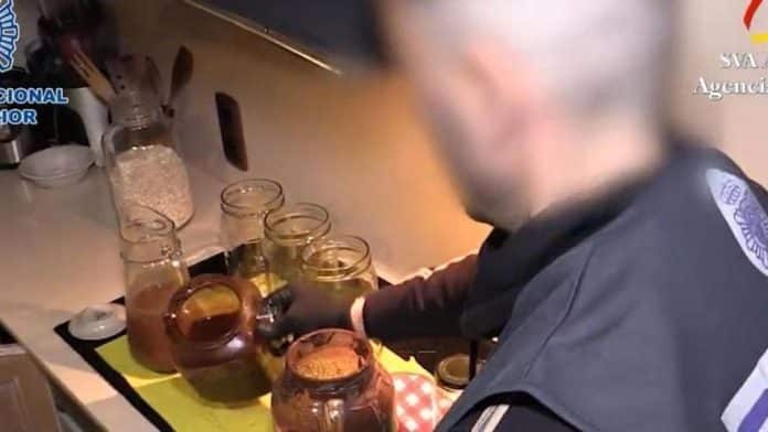 The dangerous fashion of ayahuasca, the drug of the neo-Chamanic sects