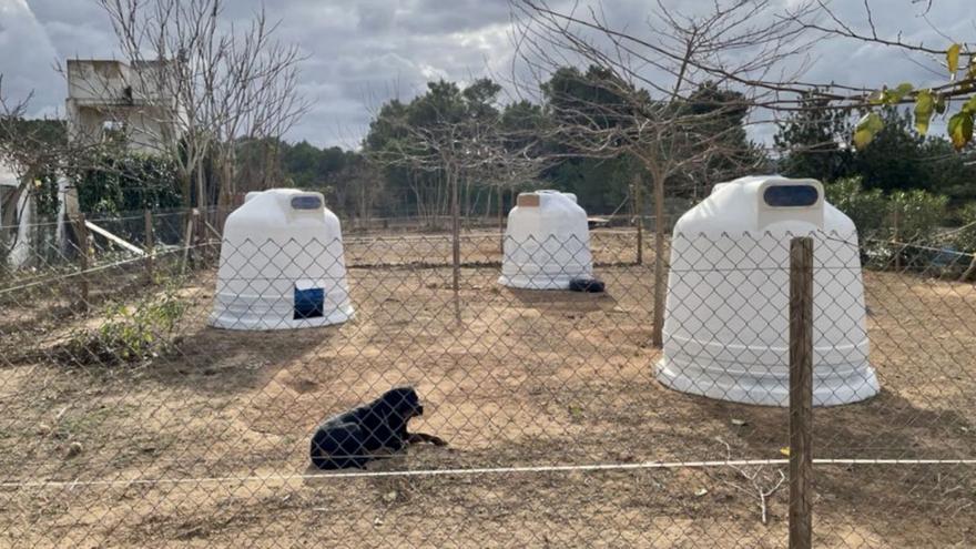 Glass containers and posidonia to accommodate dogs in Natura Parc