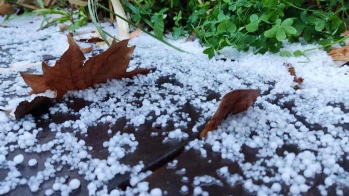 ae319ab4-b9f9-406a-a0b8-826e5f6c5c7d_16-9-aspect-ratio_default_0.jpg The north of Ibiza is close to zero degrees on the second night of the year