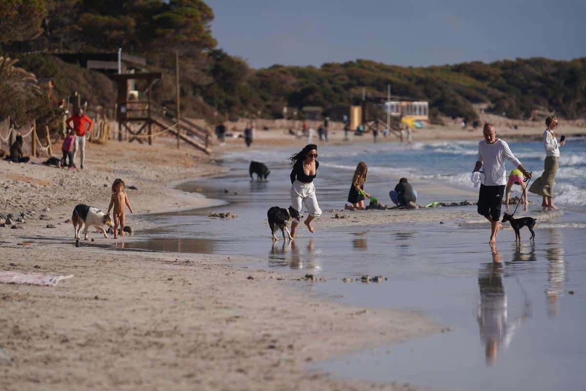 Beach day in Ibiza in the middle of Christmas, in this case in ses Salines.