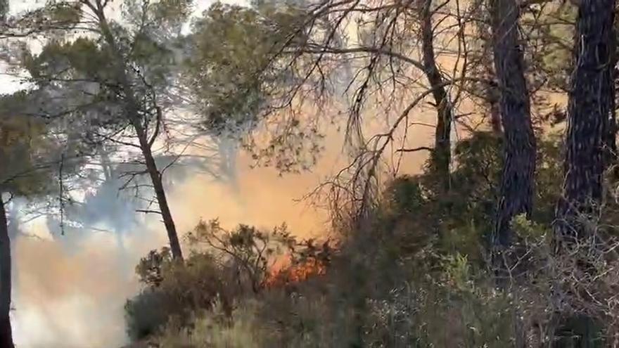 A forest fire forces to evacuate a house in Sant Josep