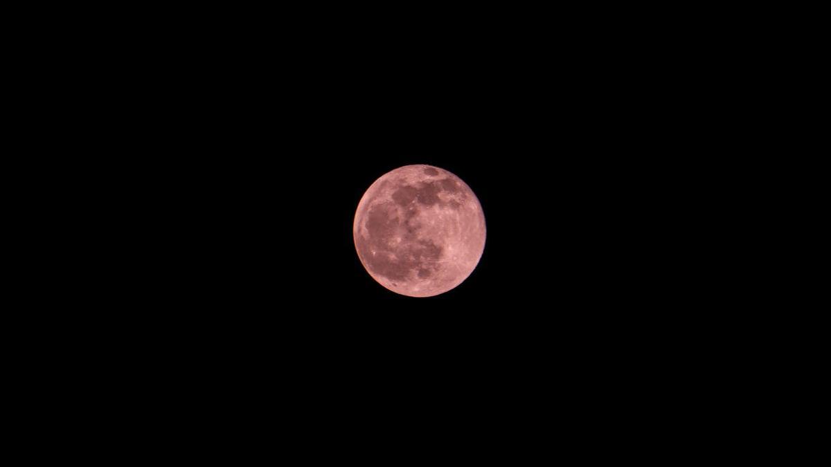 How To See The Pink Moon Diario De News