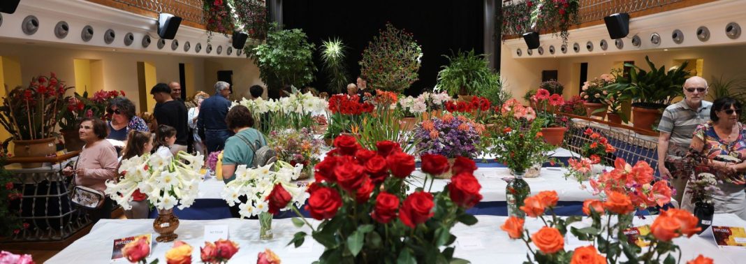 50 years blooming the great feast of Santa Eulària