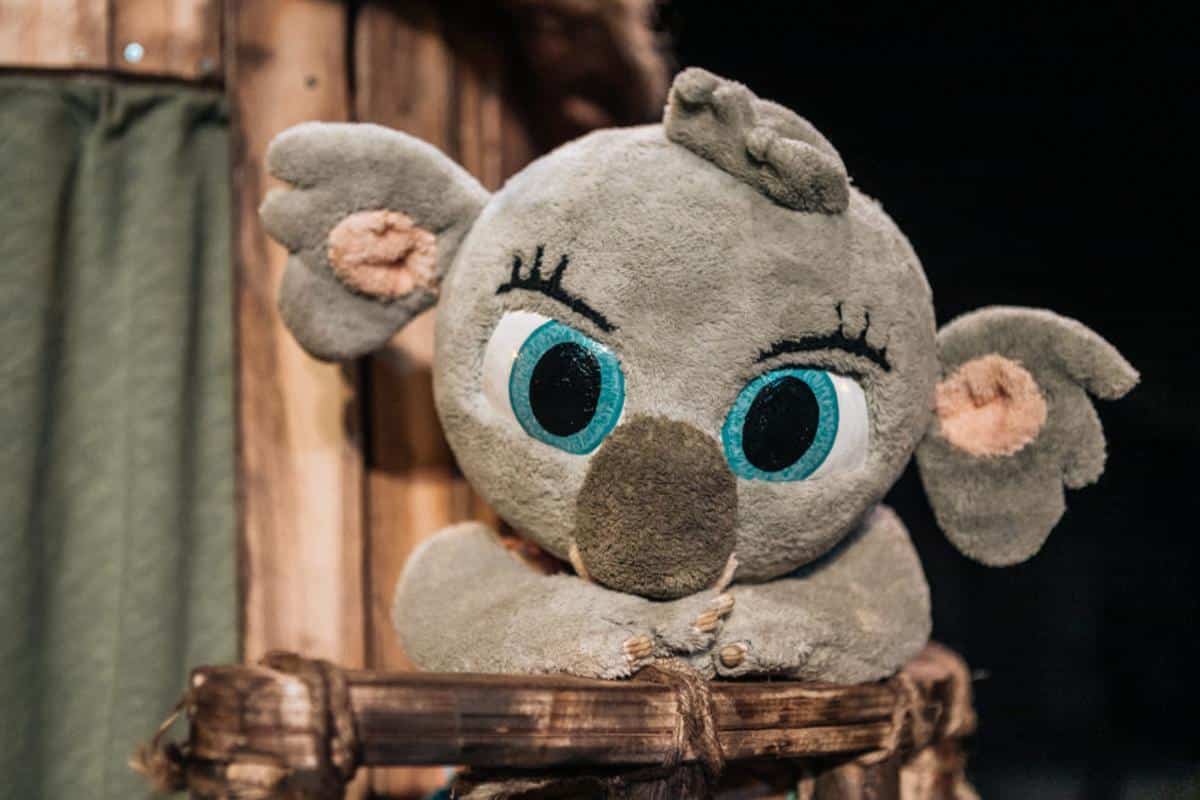bunji, la petita coala', at the Cas Serres auditorium