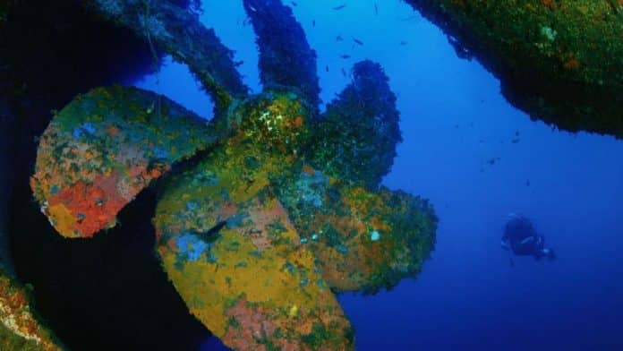 cab375c5-586a-41a4-a414-8de82da68e8b_16-9-aspect-ratio_default_0.jpg Onshore display of the treasures of submerged Ibiza