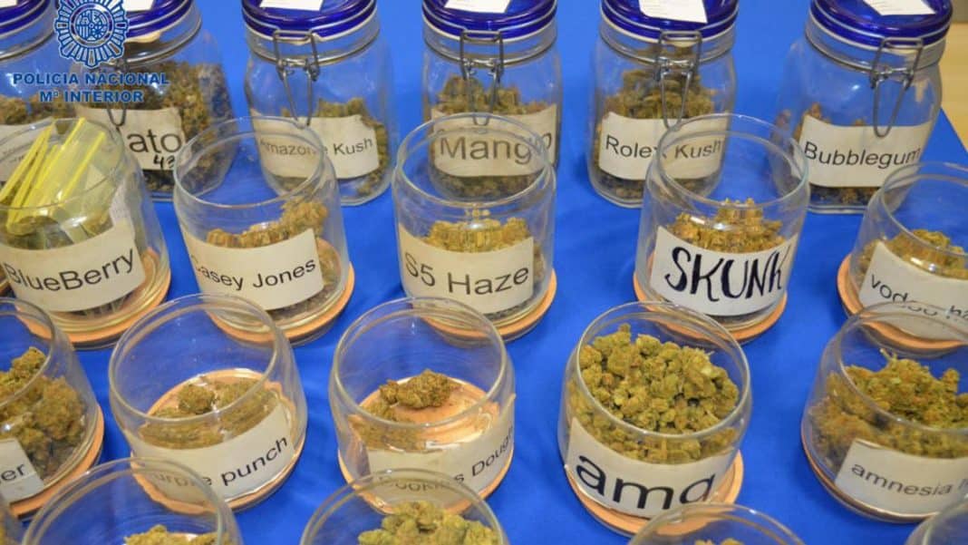 Prison sentence requested for the heads of a cannabis association in Ibiza whose price card was found