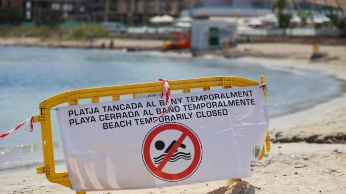 Punta Xinxó beach has been closed for a week due to a fecal spill